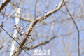 ݵ紺£mȻزǺܸǝĴѽ(jng)ڳеĸ37գS󱊾W(wng)ӛߵ_һⰻȻĵݳǡӛ  zӰ