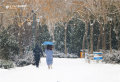 ѩڹ@С·һɷ󱊾W(wng)ݡ(bo) ӛ wP zӰ(bo)