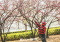 ůůĴL(fng)ӭ洵_uD(zhun)ůǃ(ni)ʢ_˲ǰ^p󱊾W(wng)ӛ wP zӰ(bo)